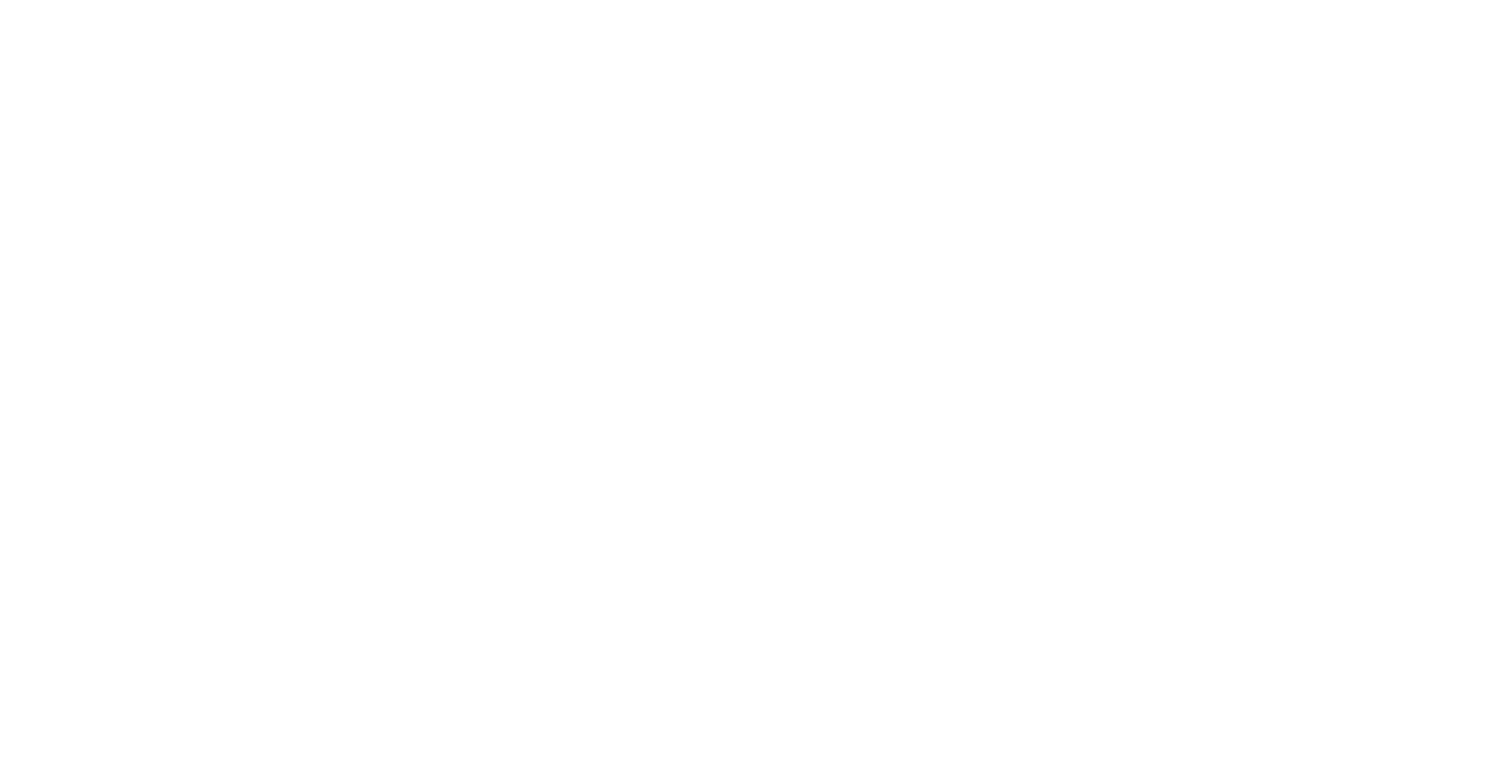 Sorvebom Express